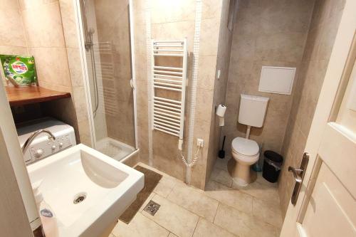 img20260117155940_20260122153258_optimized